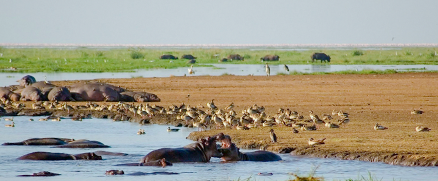 Lake Manyara National Park - Places of interest in Tanzania