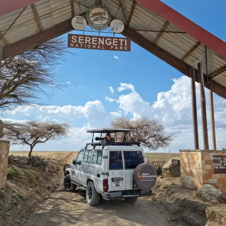 Tour Simba | Tours por Tanzania - Parque Nacional de Serengueti