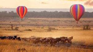 Hot Air Balloon Ride - Balloon Safaris in Tanzania