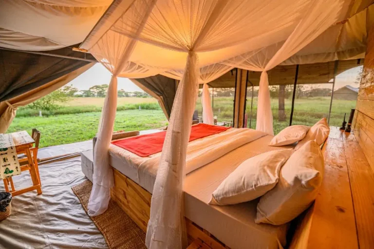 Pamoja Serengeti Luxury Camp - Accommodation in Serengeti National Park