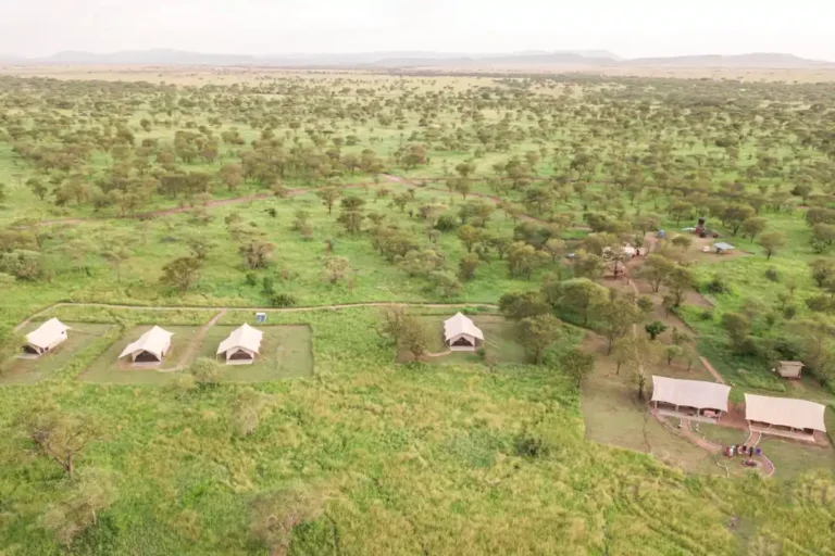 Pamoja Serengeti Luxury Camp - Accommodation in Central Serengeti National Park
