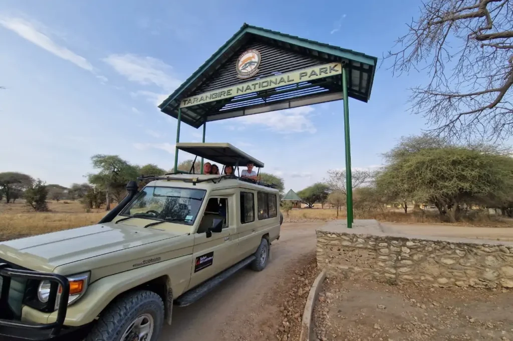 5 days budget camping safaris - Safaris in Tanzania