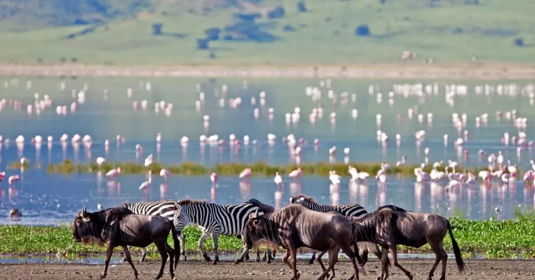 Lake Manyara National Park