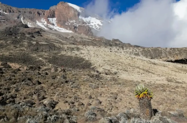 Alpine desert on Kilimanjaro