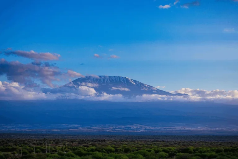 Panoramic view of Kilimanjaro