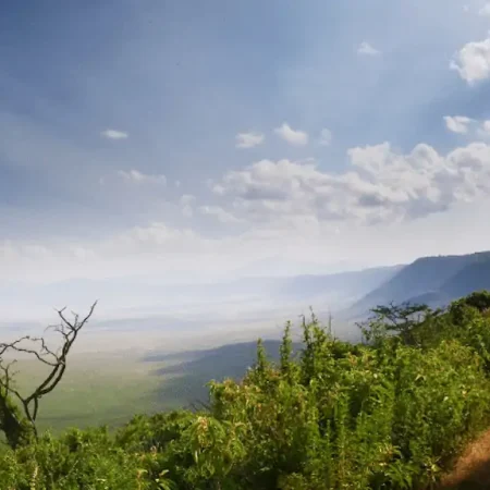 Ngorongoro Crater in Tanzania