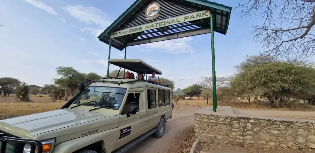 Safari en 4x4 en Tarangire