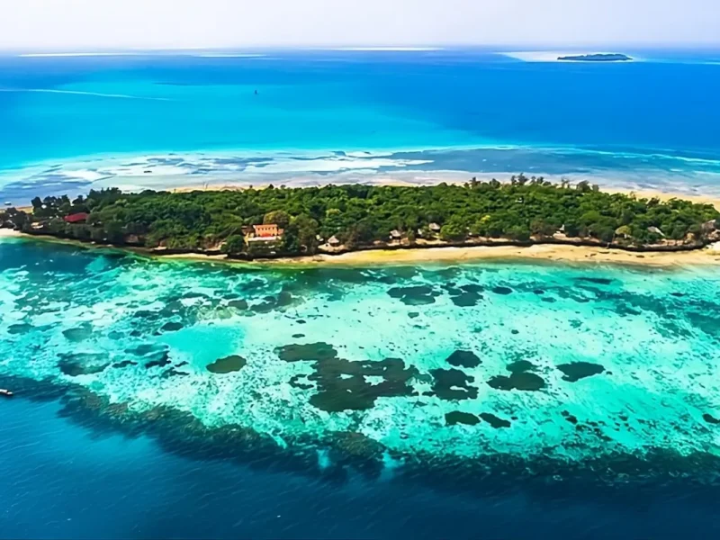 El mejor safari por Tanzania