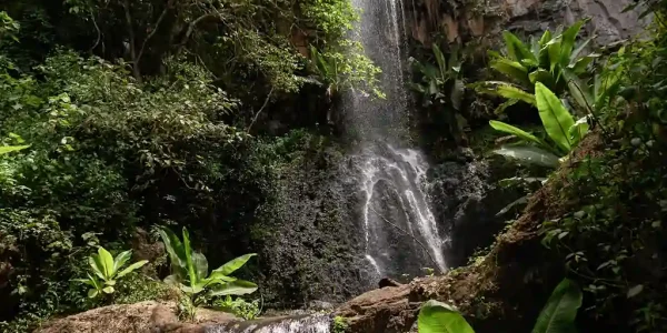 The cascading Endoro Falls flowing through lush forest in the Ngorongoro Conservation Area.