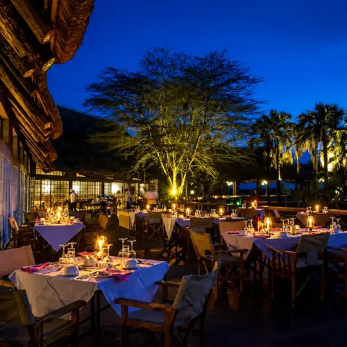 Frequently Asked Questions about Safaris