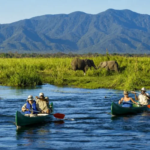 Frequently Asked Questions about Safaris