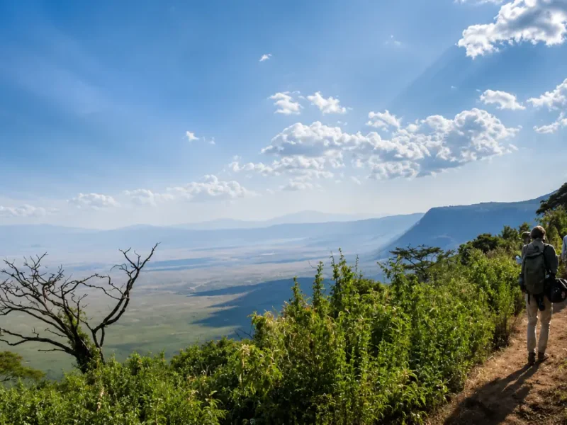 Frequently Asked Questions about Safaris