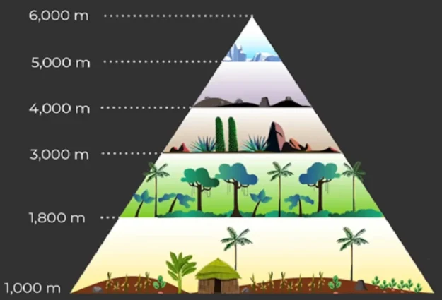 Climatic zones of Kilimanjaro by altitude
