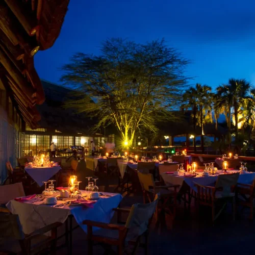 Lodge confortable en safari en Tanzania