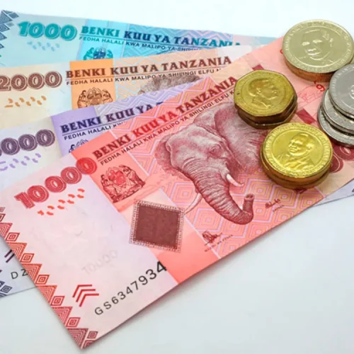Propinas en Tanzania