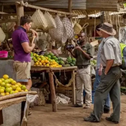Propinas en Tanzania