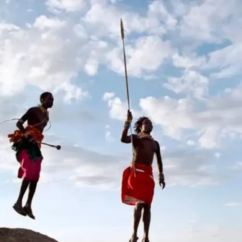 Safaris Africa United
