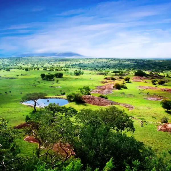 Precioso paisaje de Tanzania