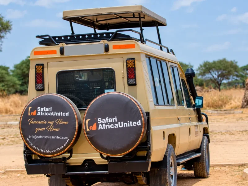4x4 para safari privado en Tanzania