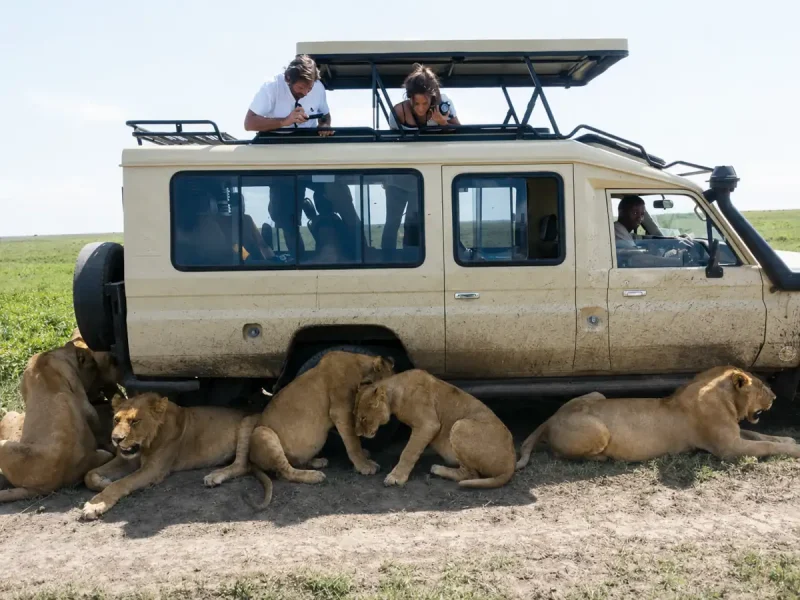 Safaris Africa United
