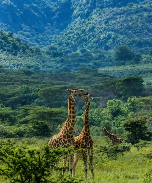 Tanzania changed my life